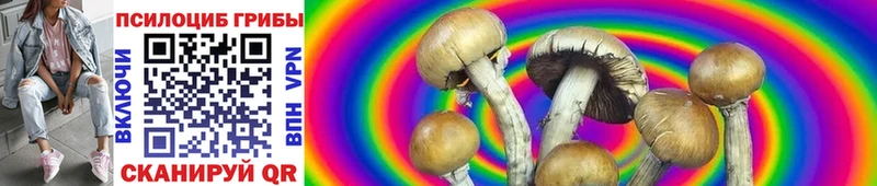 Псилоцибиновые грибы GOLDEN TEACHER Устюжна